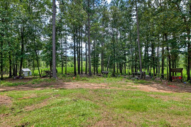 196 Brodie Hall Road, Wagener, SC 29164