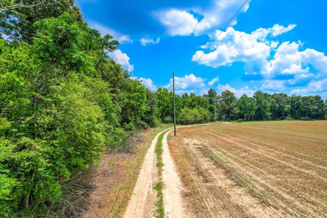 196 Brodie Hall Road, Wagener, SC 29164