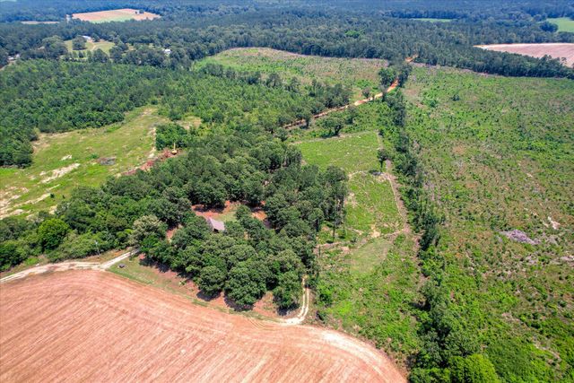 196 Brodie Hall Road, Wagener, SC 29164