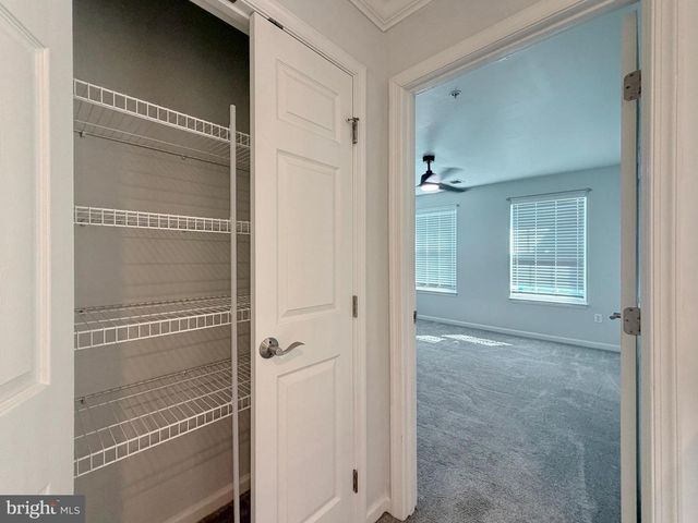 3429 LINDEN GROVE DR, Waldorf, MD 20603