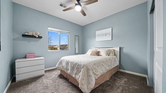 1092 Echo Canyon Street, Fruita, CO 81521