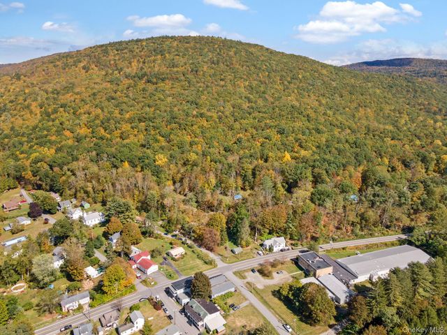11625 State Route 97, Long Eddy, NY 12760