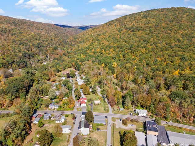 11625 State Route 97, Long Eddy, NY 12760