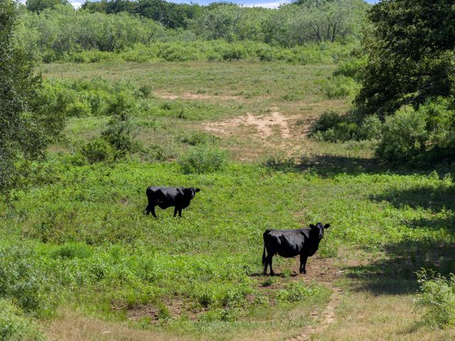 TBD County Road 450, Waelder, TX 78959