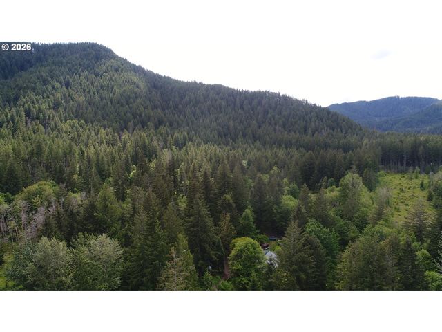 252 BLACKLEDGE Rd, Carson, WA 98610