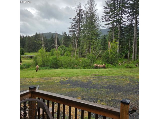 252 BLACKLEDGE Rd, Carson, WA 98610