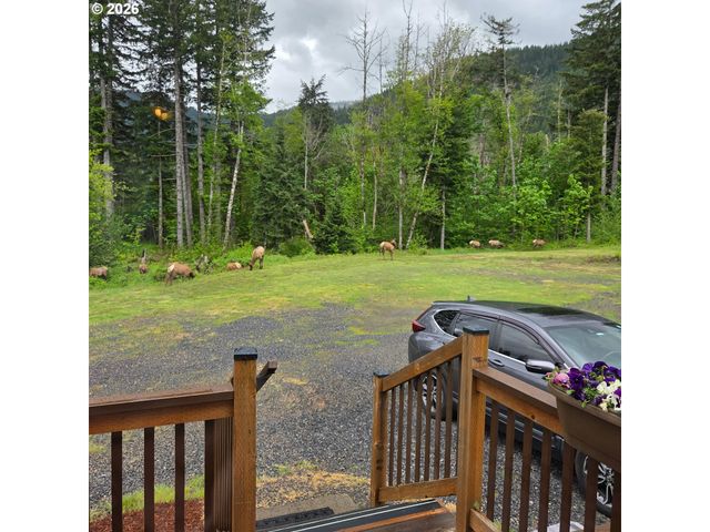 252 BLACKLEDGE Rd, Carson, WA 98610