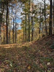 47/48 Little Secret Lane, Murphy, NC 28906