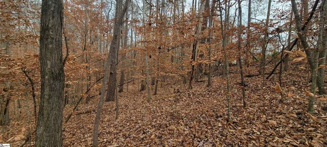 00 Gum Court, Westminster, SC 29693