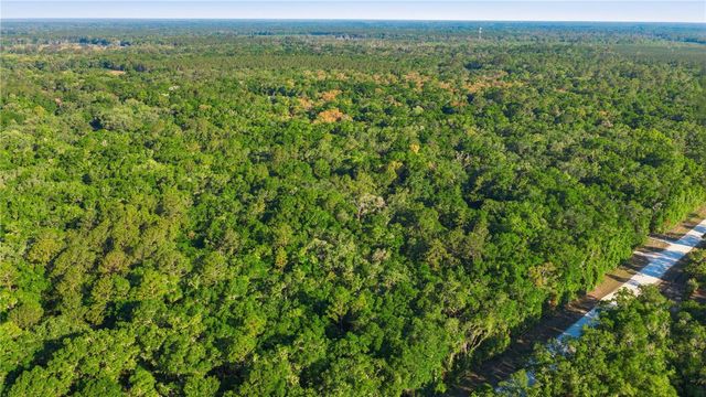 7850 NE 178TH TERRACE, Williston, FL 32696