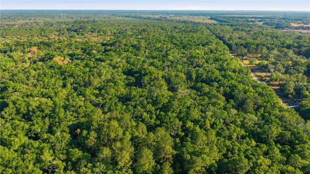 7850 NE 178TH TERRACE, Williston, FL 32696