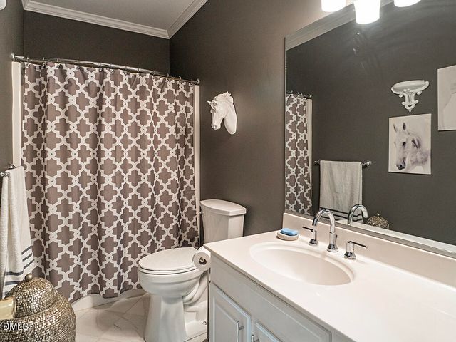 3198 Old Ingold Trail, Snow Camp, NC 27349