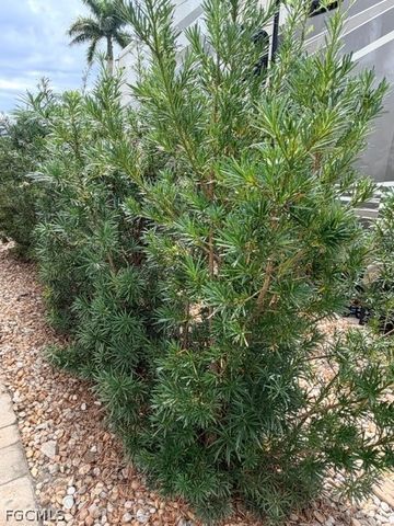 10329 Fire Flag TRL, Fort Myers, FL 33905