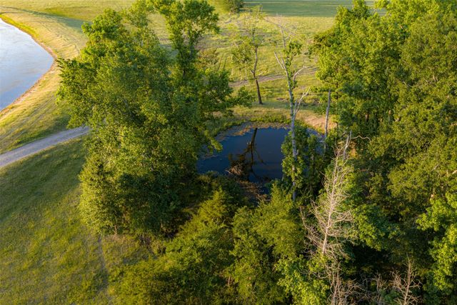 1423 Fm 1653, Ben Wheeler, TX 75754