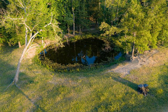 1423 Fm 1653, Ben Wheeler, TX 75754