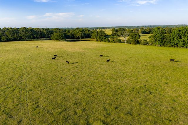 1423 Fm 1653, Ben Wheeler, TX 75754
