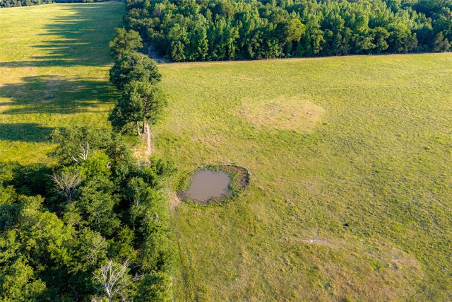 1423 Fm 1653, Ben Wheeler, TX 75754