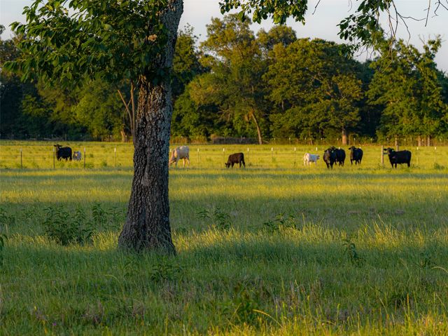 1423 Fm 1653, Ben Wheeler, TX 75754