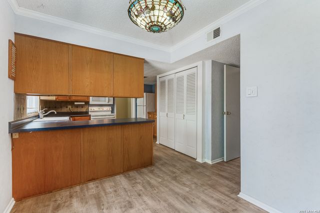 15101 Encino Verde, San Antonio, TX 78232
