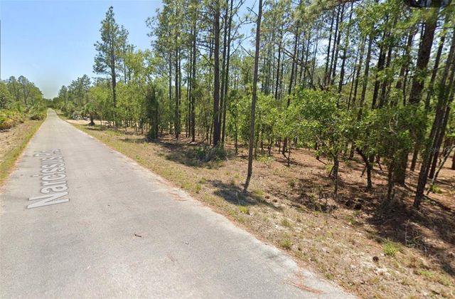00 NW NARCISSUS ROAD, Dunnellon, FL 34431