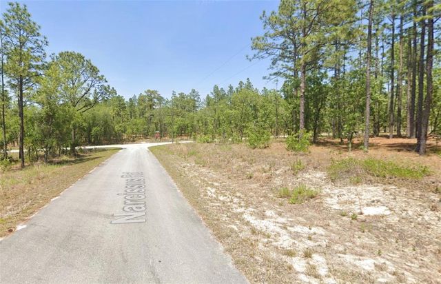 00 NW NARCISSUS ROAD, Dunnellon, FL 34431