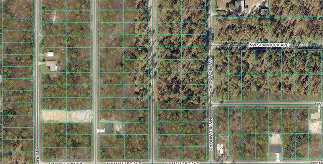 00 NW NARCISSUS ROAD, Dunnellon, FL 34431