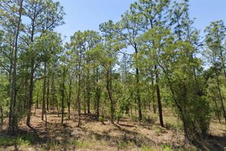 00 NW NARCISSUS ROAD, Dunnellon, FL 34431