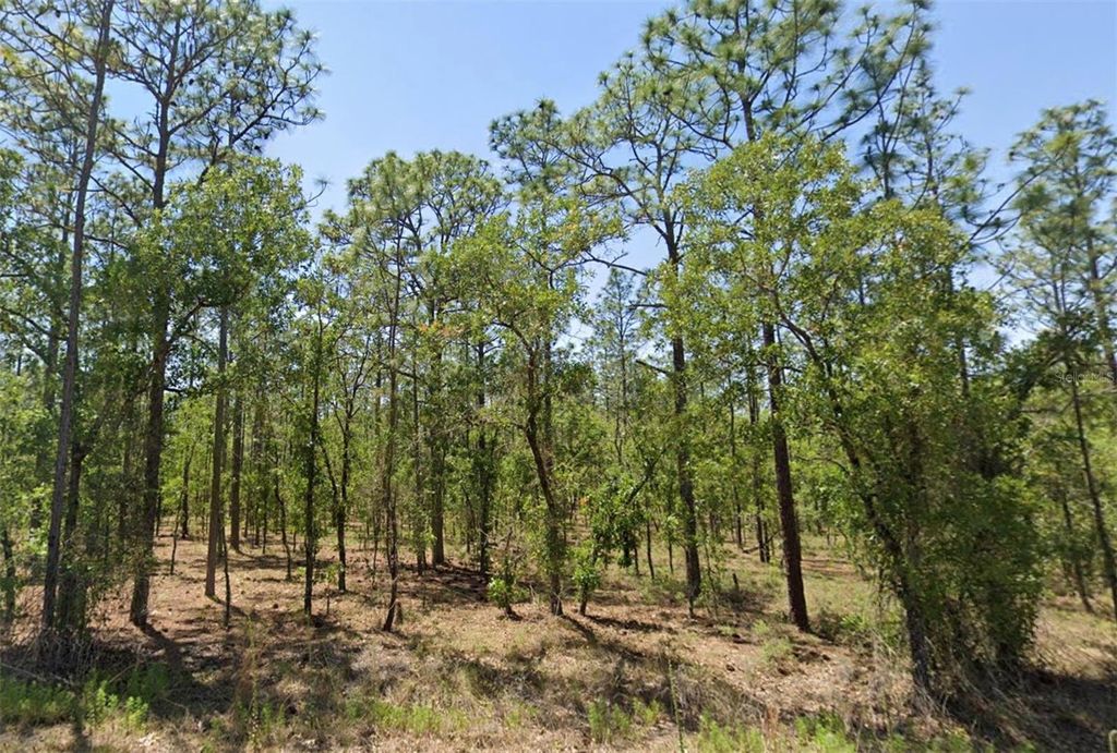 00 NW NARCISSUS ROAD, Dunnellon, FL 34431