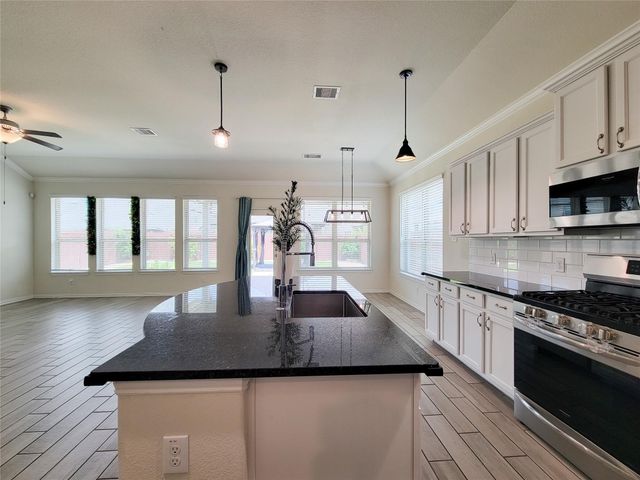 28638 Monarch Cliffs Drive, Fulshear, TX 77441