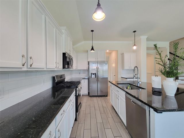 28638 Monarch Cliffs Drive, Fulshear, TX 77441