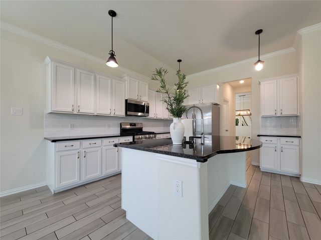 28638 Monarch Cliffs Drive, Fulshear, TX 77441
