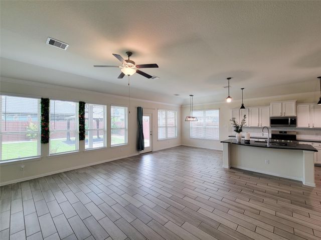 28638 Monarch Cliffs Drive, Fulshear, TX 77441