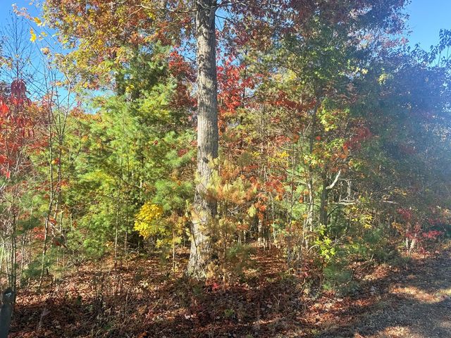Lot 25 Hideaway Ridge Drive, Murphy, NC 28906