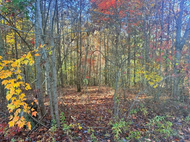Lot 25 Hideaway Ridge Drive, Murphy, NC 28906