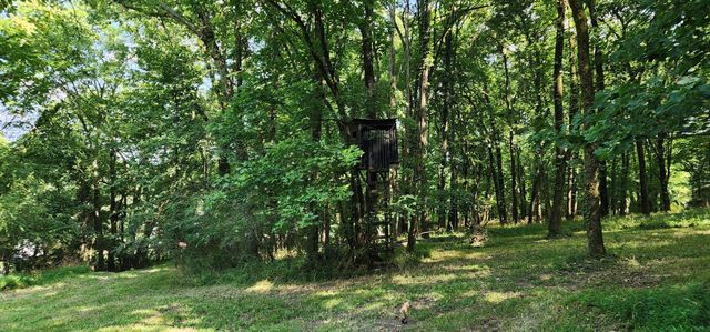 4002 Rippey Lake Rd, Mount Pleasant, TN 38474