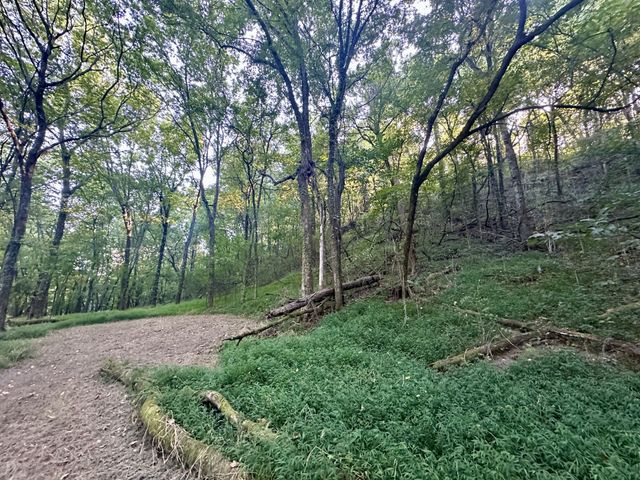 4002 Rippey Lake Rd, Mount Pleasant, TN 38474