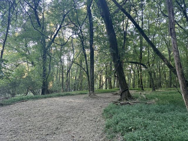 4002 Rippey Lake Rd, Mount Pleasant, TN 38474