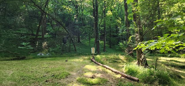 4002 Rippey Lake Rd, Mount Pleasant, TN 38474