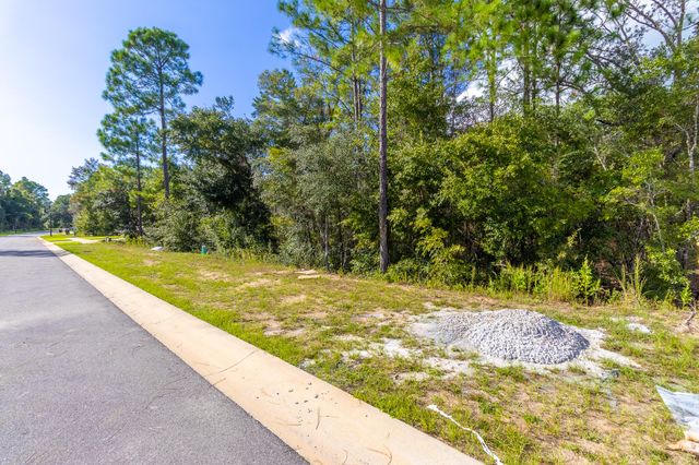 TBD Spirit Bear Way Lot 38, Blk C, Freeport, FL 32439