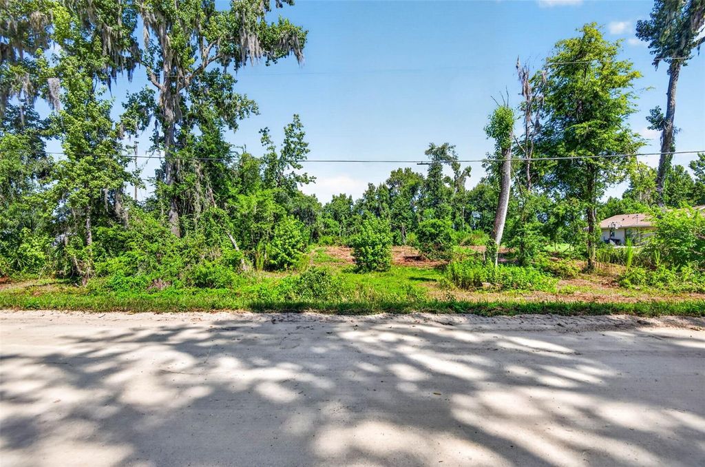 0 SUMNER LAKE ROAD, Dade City, FL 33525