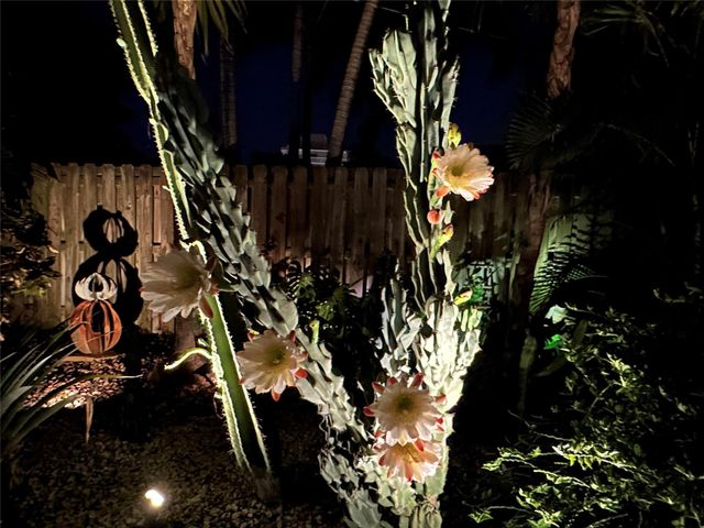 1769 NE 38th Street, Oakland Park, FL 33334