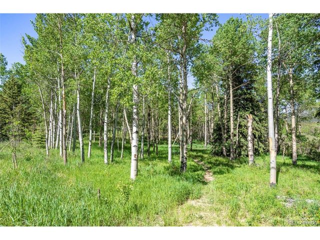 582 Karlann Dr, Black Hawk, CO 80422