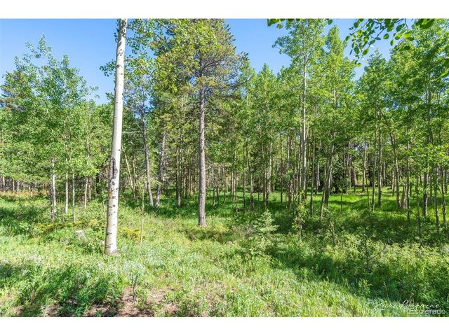 582 Karlann Dr, Black Hawk, CO 80422
