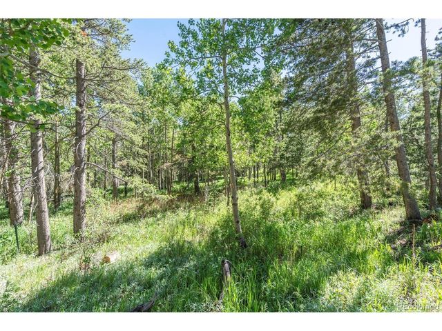 582 Karlann Dr, Black Hawk, CO 80422