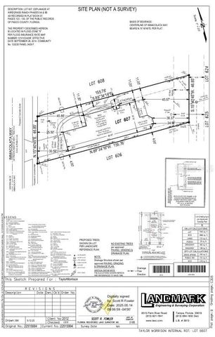 3880 IMMACOLATA WAY, Wesley Chapel, FL 33543