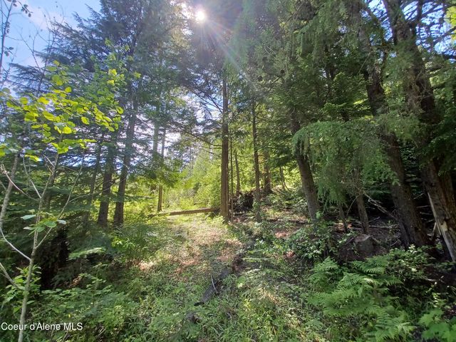 127 Coyote Trail, Priest River, ID 83856