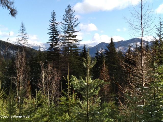127 Coyote Trail, Priest River, ID 83856