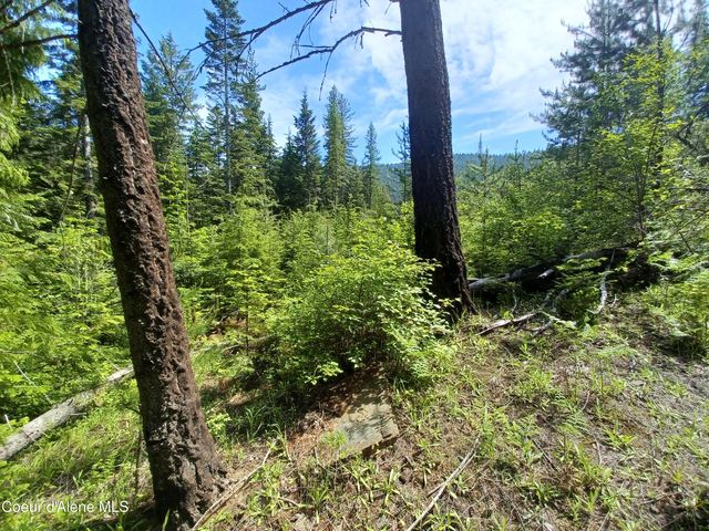 127 Coyote Trail, Priest River, ID 83856