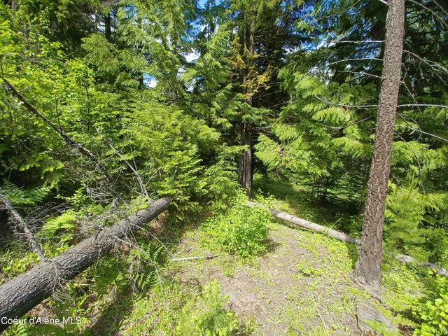 127 Coyote Trail, Priest River, ID 83856