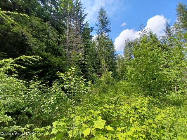127 Coyote Trail, Priest River, ID 83856